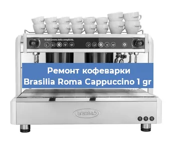 Замена дренажного клапана на кофемашине Brasilia Roma Cappuccino 1 gr в Краснодаре